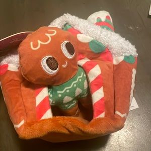 GingerBread house with the Gingerbread Man